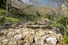 Ste_Baume_4
