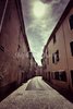 vins_10_bis