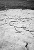 Cassis_15_2