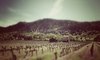 Vignes_tilt
